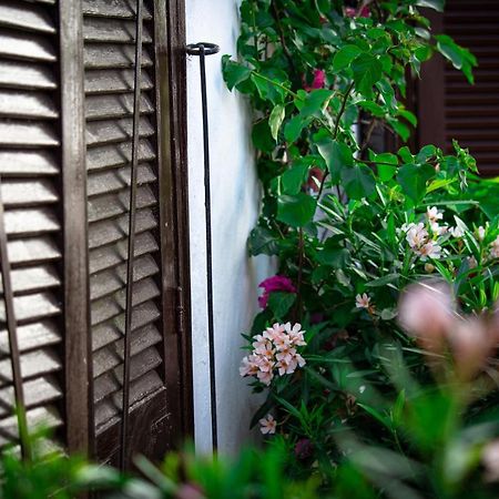 El Molino Estepona Exteriér fotografie