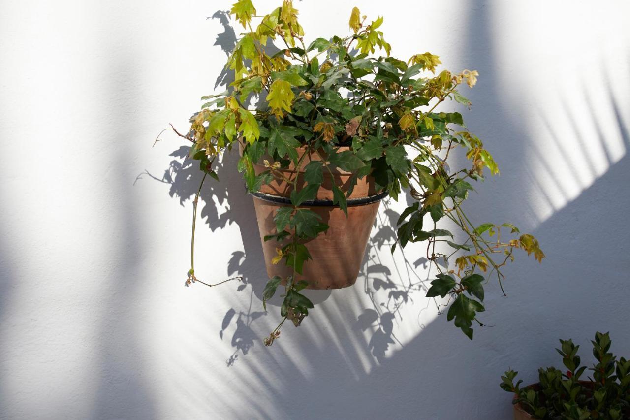 El Molino Estepona Exteriér fotografie