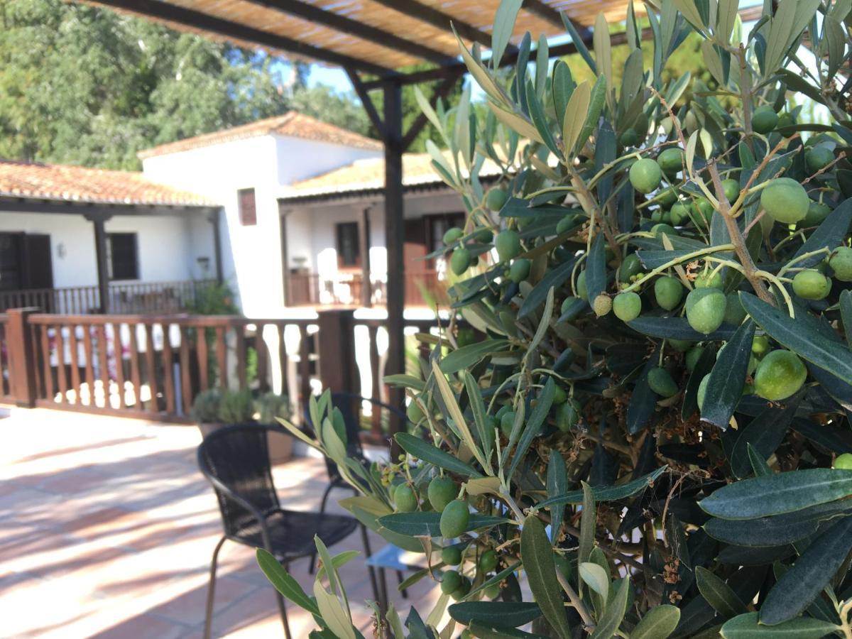 El Molino Estepona Exteriér fotografie